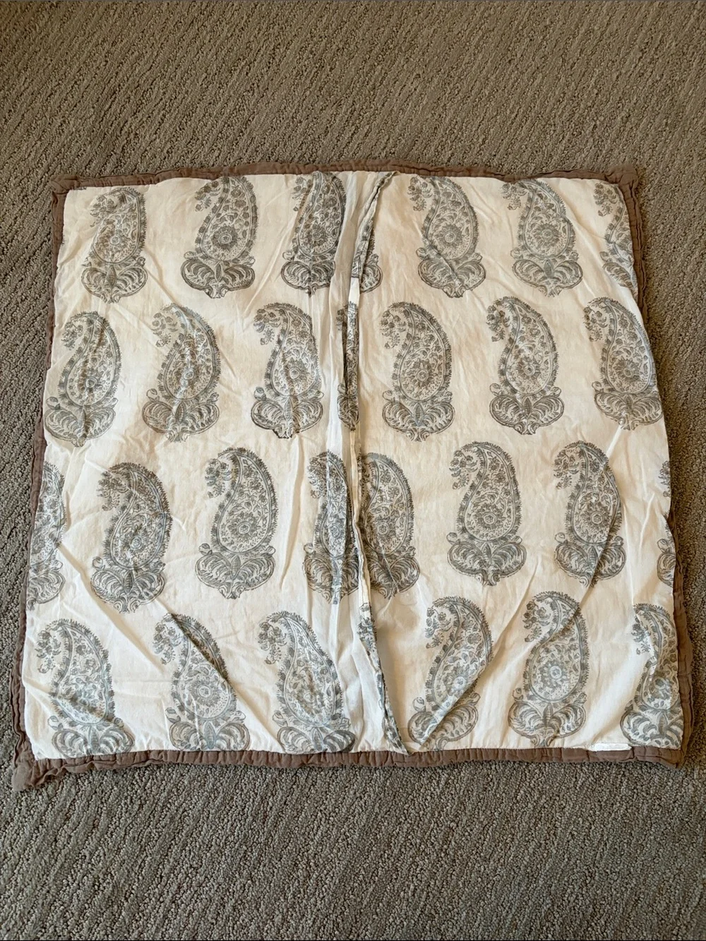 Pottery Barn Euro Sham
